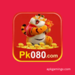 PK080 Game