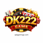DK222 game