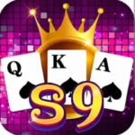 S9 Game